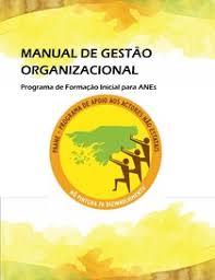 MANUAL DE GESTÃO  ORGANIZACIONAL Programa de Formação Inicial para ANEs